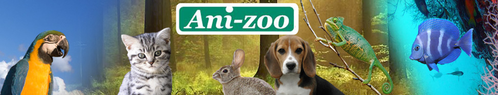 logo ani-zoo